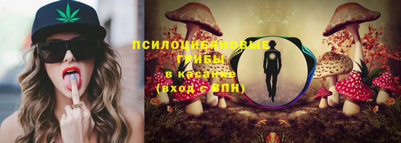 где продают наркотики  Костерёво  Псилоцибиновые грибы MAGIC MUSHROOMS 